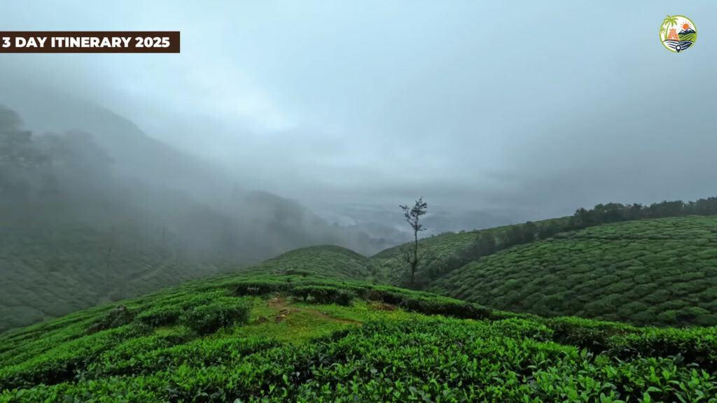 coimbatore to valparai to athirapally 3 day itinerary with sholayar forest drive hairpin bends waterfalls stays and timings