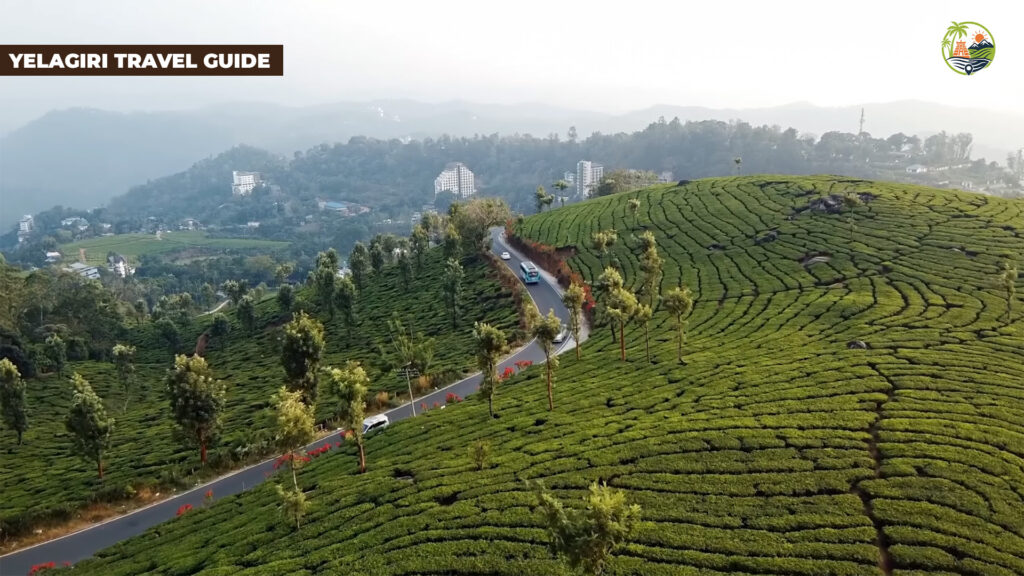 yelagiri travel guide with things to do boating zipline prices swamimalai trek and a 2 day itinerary