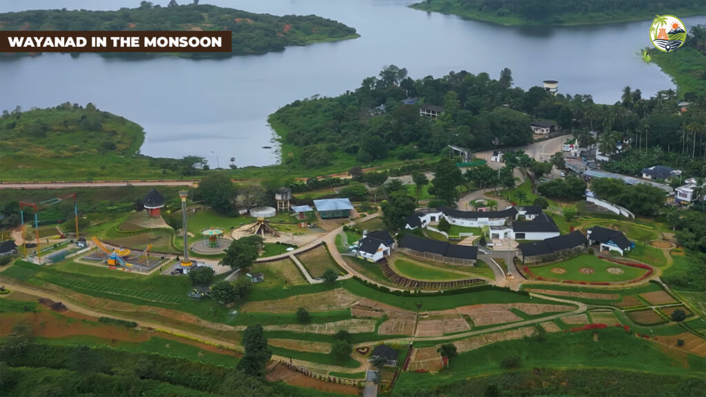 Misty tea‑estate slopes in Wayanad during monsoon with low clouds and rain‑wet roads.