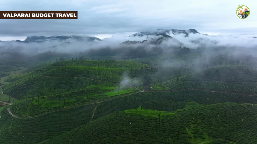 valparai travel guide budget stay viewpoints with hairpins tea estates and cheap itinerary